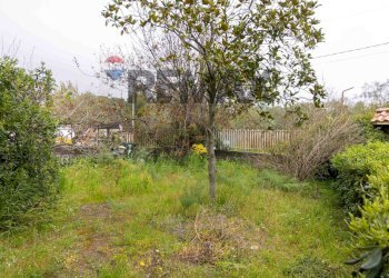 Giardino - Villa Via Re Martino
 
36, Nicolosi - foto 24