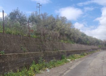Giardino - Terreno agricolo Contrada Agnelleria
snc, Belpasso - foto 8