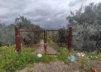 Giardino - Terreno agricolo Contrada Agnelleria
snc, Belpasso - foto 9