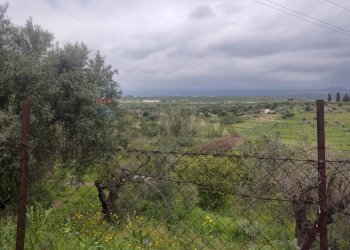 Vista delle montagne - Terreno agricolo Contrada Agnelleria
snc, Belpasso - foto 10