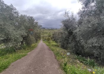 Vista delle montagne - Terreno agricolo Contrada Agnelleria
snc, Belpasso - foto 16