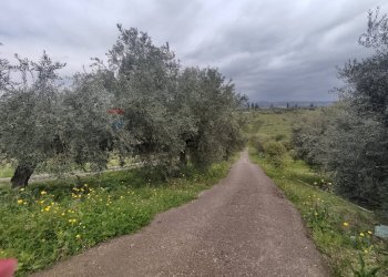 Non correlato - Terreno agricolo Contrada Agnelleria
snc, Belpasso - foto 17