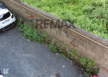 Giardino - Trilocale via Argo
 
16, Catania - foto 25