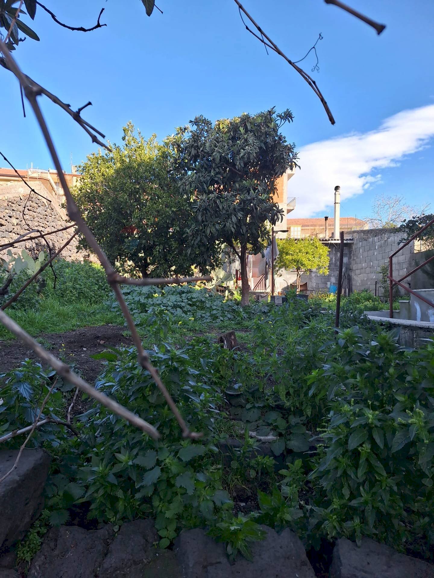 Giardino - Casa indipendente Via Cadorna
 
18, Belpasso - foto 1