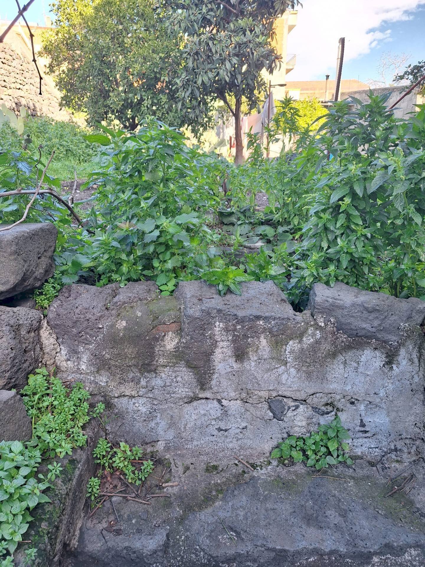 Giardino - Casa indipendente Via Cadorna
 
18, Belpasso - foto 2