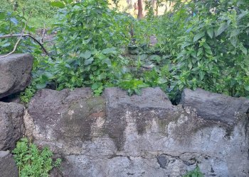 Giardino - Casa indipendente Via Cadorna
 
18, Belpasso - foto 2