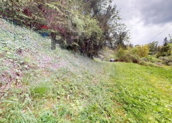 Giardino - Magazzino Pieve di Cerreto, Borgo a Mozzano - foto 16