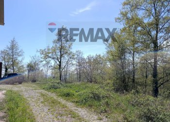 Giardino - Villa via del  fosso serpentaio
 
snc, Santa Fiora - foto 5