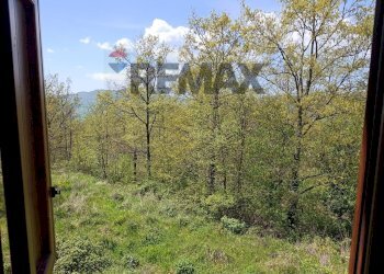 Giardino - Villa via del  fosso serpentaio
 
snc, Santa Fiora - foto 10