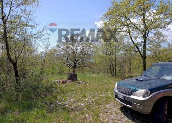 Giardino - Villa via del  fosso serpentaio
 
snc, Santa Fiora - foto 17