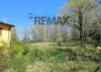 Giardino - Villa via del  fosso serpentaio
 
snc, Santa Fiora - foto 22