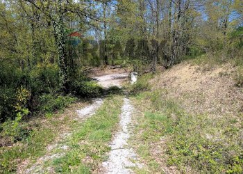 Giardino - Villa via del  fosso serpentaio
 
snc, Santa Fiora - foto 25