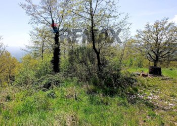 Giardino - Villa via del  fosso serpentaio
 
snc, Santa Fiora - foto 27