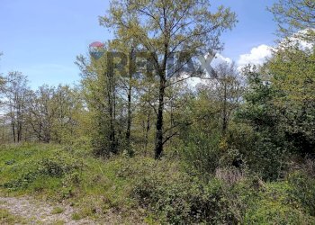 Giardino - Villa via del  fosso serpentaio
 
snc, Santa Fiora - foto 30