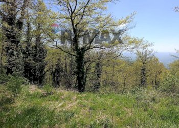 Giardino - Villa via del  fosso serpentaio
 
snc, Santa Fiora - foto 54