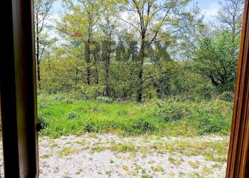 Giardino - Villa via del  fosso serpentaio
 
snc, Santa Fiora - foto 58