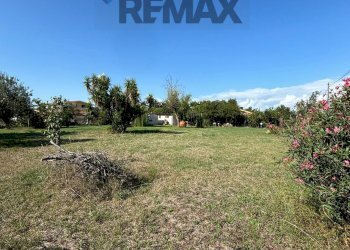 Giardino - Terreno edificabile Via stella
 
4/B, Aprilia - foto 3