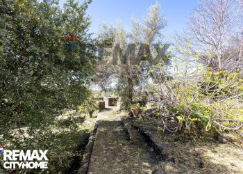 Giardino - Casa indipendente Via Umberto I
 
17-19-21, San Pietro Clarenza - foto 35