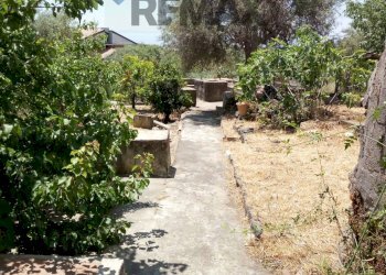 Giardino - Casa indipendente Via Umberto I
 
17-19-21, San Pietro Clarenza - foto 43