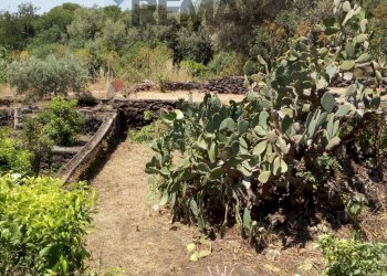 Giardino - Casa indipendente Via Umberto I
 
17-19-21, San Pietro Clarenza - foto 46