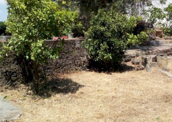 Giardino - Casa indipendente Via Umberto I
 
17-19-21, San Pietro Clarenza - foto 47