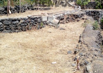 Giardino - Casa indipendente Via Umberto I
 
17-19-21, San Pietro Clarenza - foto 51