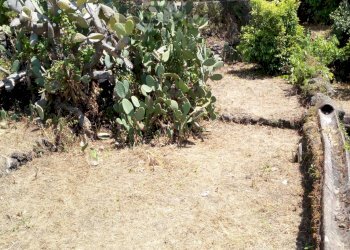 Giardino - Casa indipendente Via Umberto I
 
17-19-21, San Pietro Clarenza - foto 52