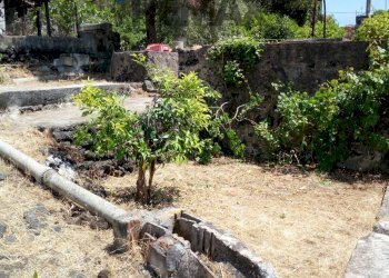 Giardino - Casa indipendente Via Umberto I
 
17-19-21, San Pietro Clarenza - foto 53