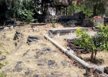 Giardino - Casa indipendente Via Umberto I
 
17-19-21, San Pietro Clarenza - foto 54