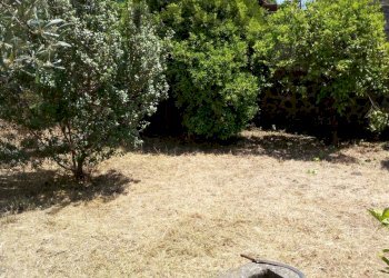 Giardino - Casa indipendente Via Umberto I
 
17-19-21, San Pietro Clarenza - foto 57