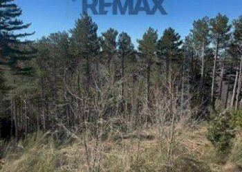 Non correlato - Villa via risorgimento
 
11, Santo Stefano in Aspromonte - foto 18