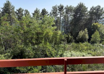 Balcone - Villa via risorgimento
 
11, Santo Stefano in Aspromonte - foto 19