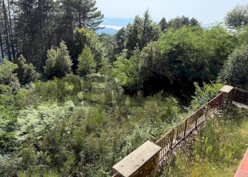 Giardino - Villa via risorgimento
 
11, Santo Stefano in Aspromonte - foto 20