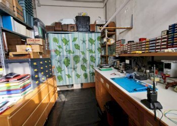 Cucina - Quadrilocale Regione Casorano Sottano
 
74, Merana - foto 99