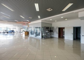 Palestra - Stabile - Palazzo Bergamo - foto 14