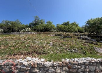 Foto 109 - Villa Strada Nuova, Sezze - photo 109