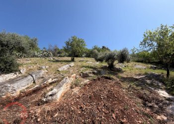 Foto 111 - Villa Strada Nuova, Sezze - photo 111