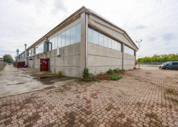 Foto 7 - Capannone Strada Carpice, Moncalieri - foto 7