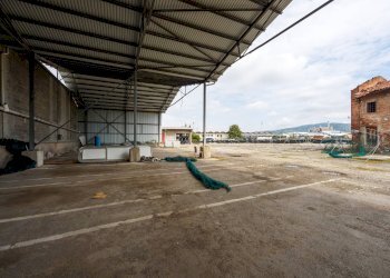 Foto 66 - Capannone Strada Carpice, Moncalieri - foto 66