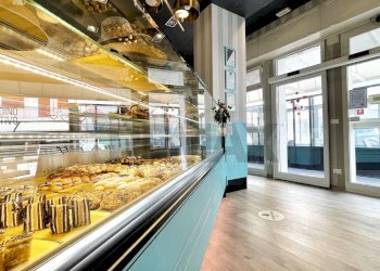 Non correlato - Attività Commerciale Arzergrande - foto 2