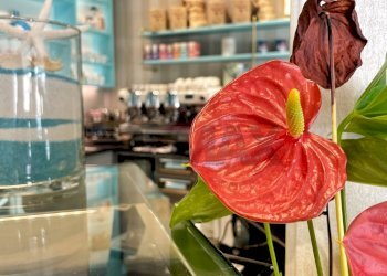 Dettagli - Attività Commerciale Arzergrande - foto 13