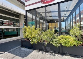 Palestra - Attività Commerciale Arzergrande - foto 19