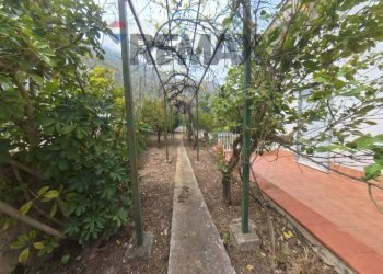 Giardino - Villa via  Gran Paradiso
 
52, Carini - foto 21