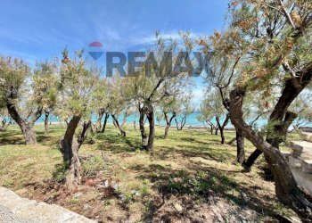 Giardino - Casa semi indipendente Ostuni - foto 20