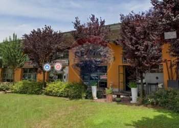 Giardino - Negozio Via Caduti del Lavoro
 
3, Curtatone - foto 9