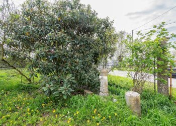 Giardino - Casa semi indipendente via guglielmo marconi
 
11, Gazzuolo - foto 34