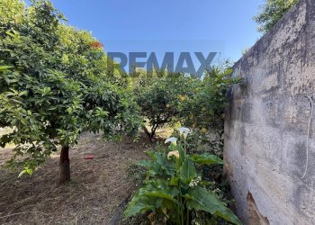 Giardino - Villa Via Agamennone
 
3, Valderice - foto 26