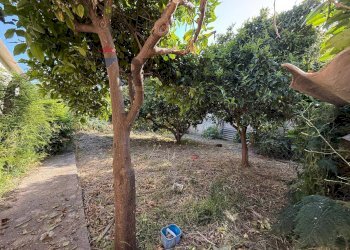 Giardino - Villa Via Agamennone
 
3, Valderice - foto 27