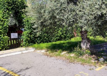 Giardino - Villa a Schiera viale himera
 
3, Campofelice di Roccella - foto 5