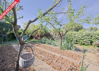 Foto 32 - Villa Via Del Pino, Livorno - foto 32